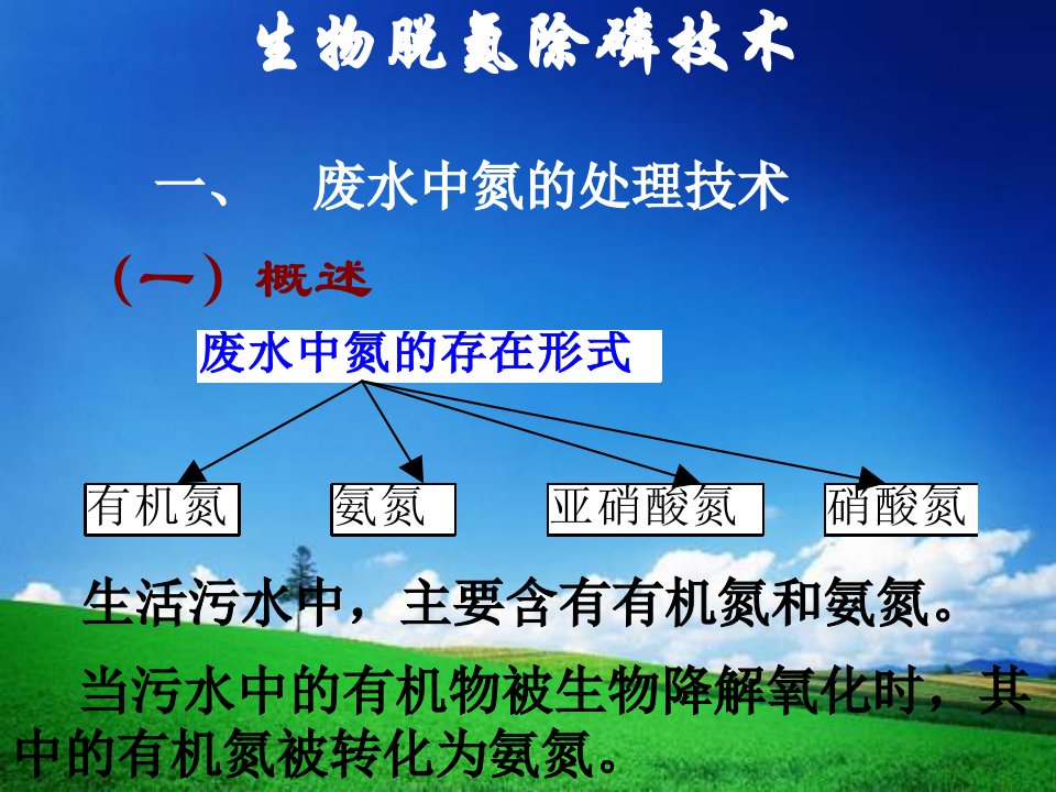 生物脱氮除磷整理课件