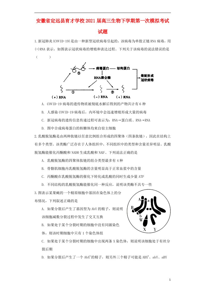 安徽狮远县育才学校2021届高三生物下学期第一次模拟考试试题