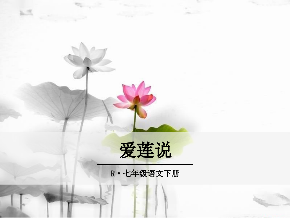 爱莲说-ppt优秀课件(完整版)