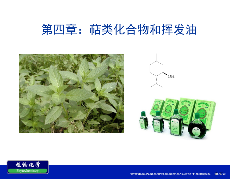 南农植物化学萜类化合物和挥发油省公共课一等奖全国赛课获奖课件