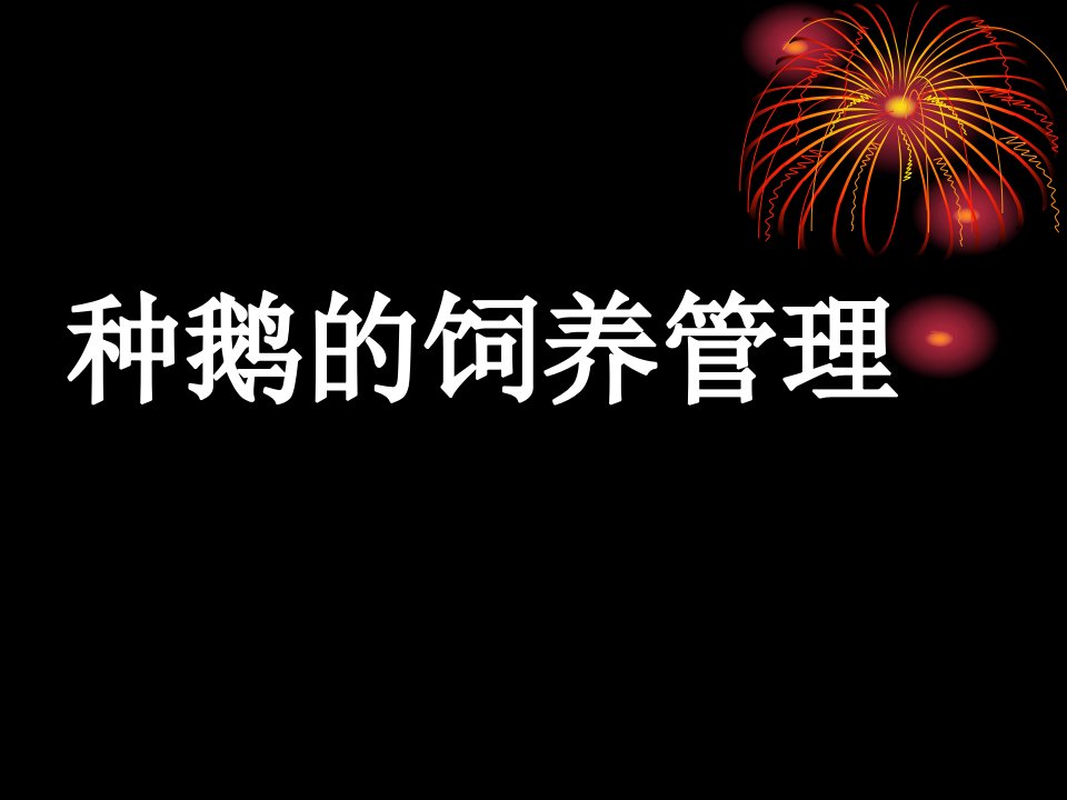 养鹅技术知道大全