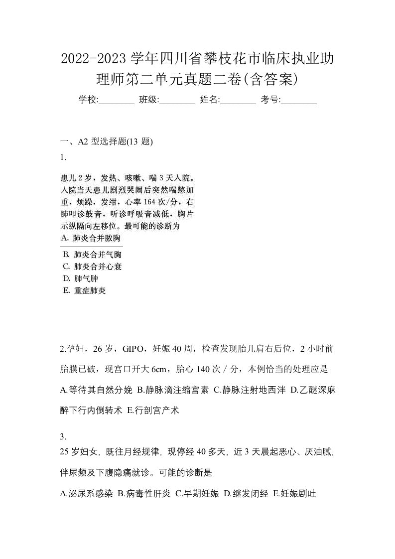 2022-2023学年四川省攀枝花市临床执业助理师第二单元真题二卷含答案