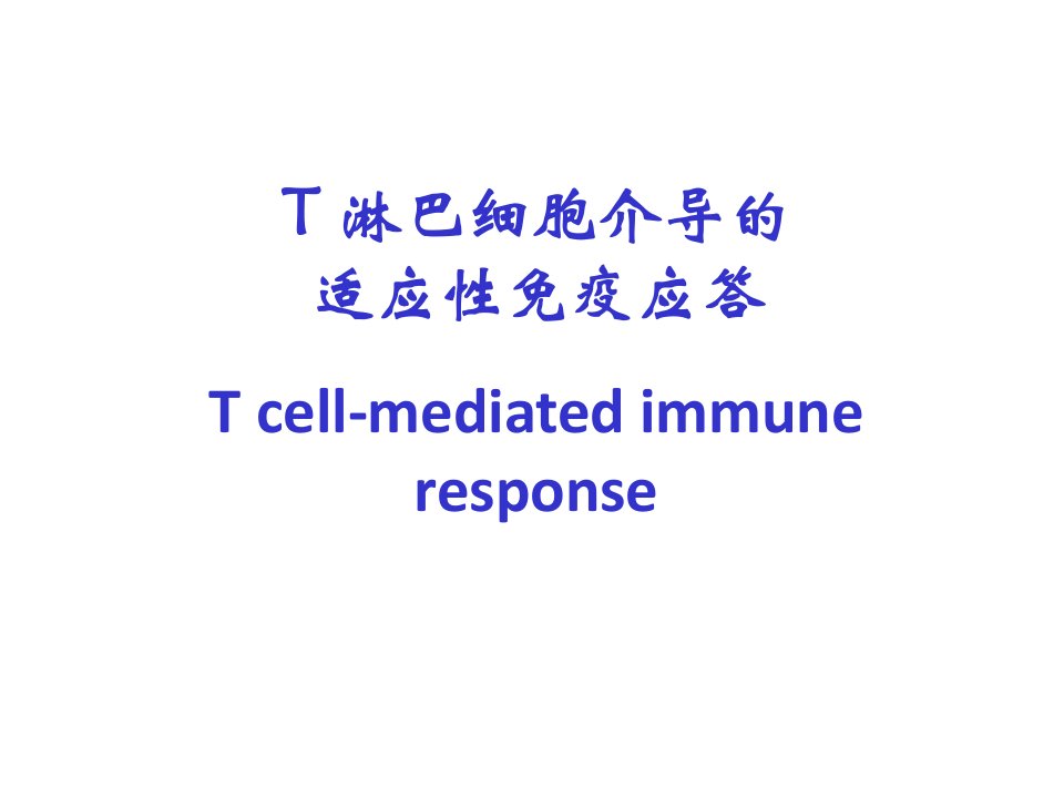 T淋巴细胞介导的适应性免疫应答教学课件