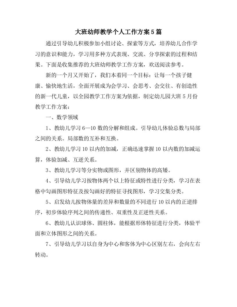 大班幼师教学个人工作计划5篇