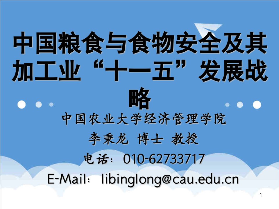 发展战略-中国粮食与食物安全及其加工业十一五发展战略