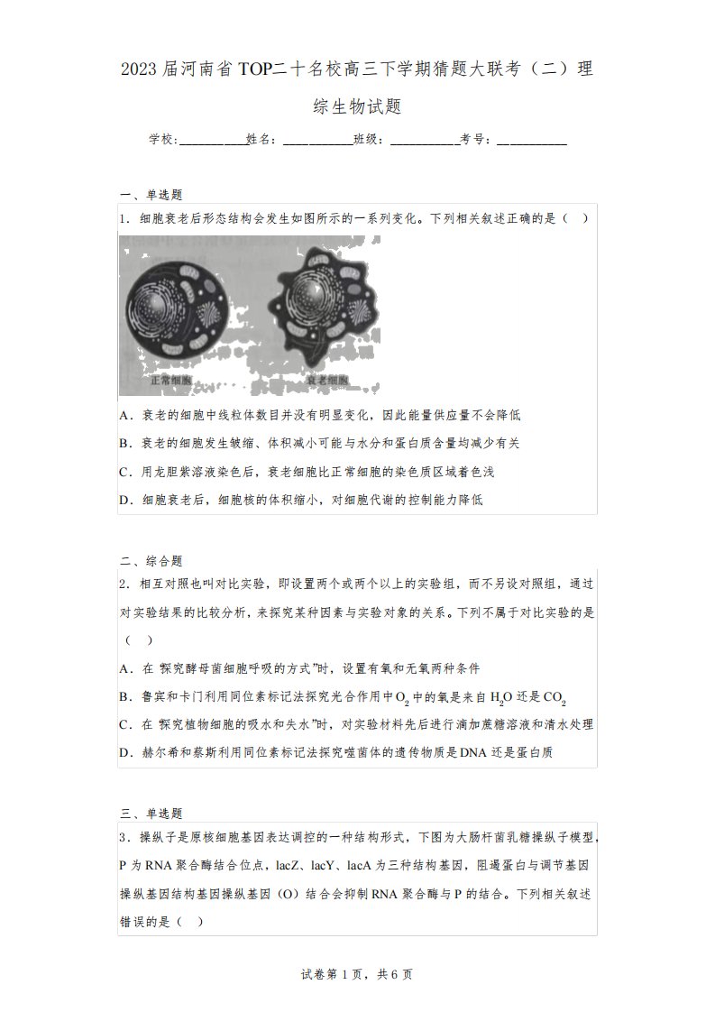 2023届河南省TOP二十名校高三下学期猜题大联考(二)理综生物试题(含解析)