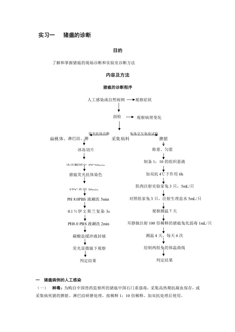 家畜传染病学教学实习