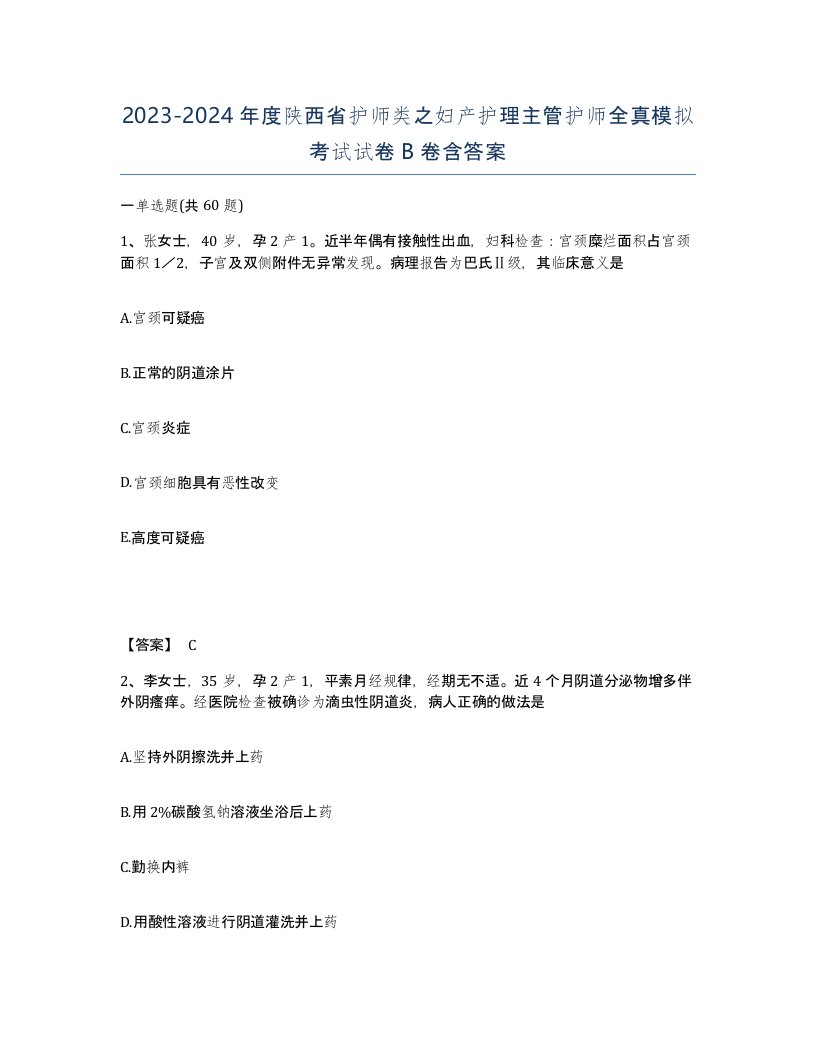 2023-2024年度陕西省护师类之妇产护理主管护师全真模拟考试试卷B卷含答案