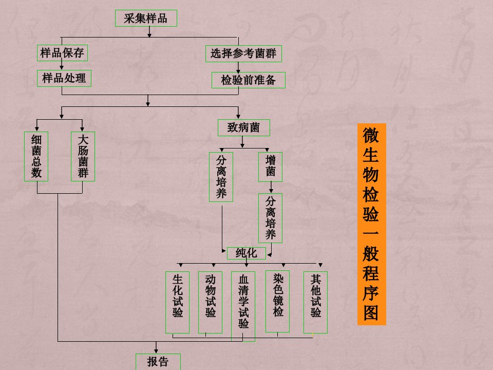 微生物检测一般流程