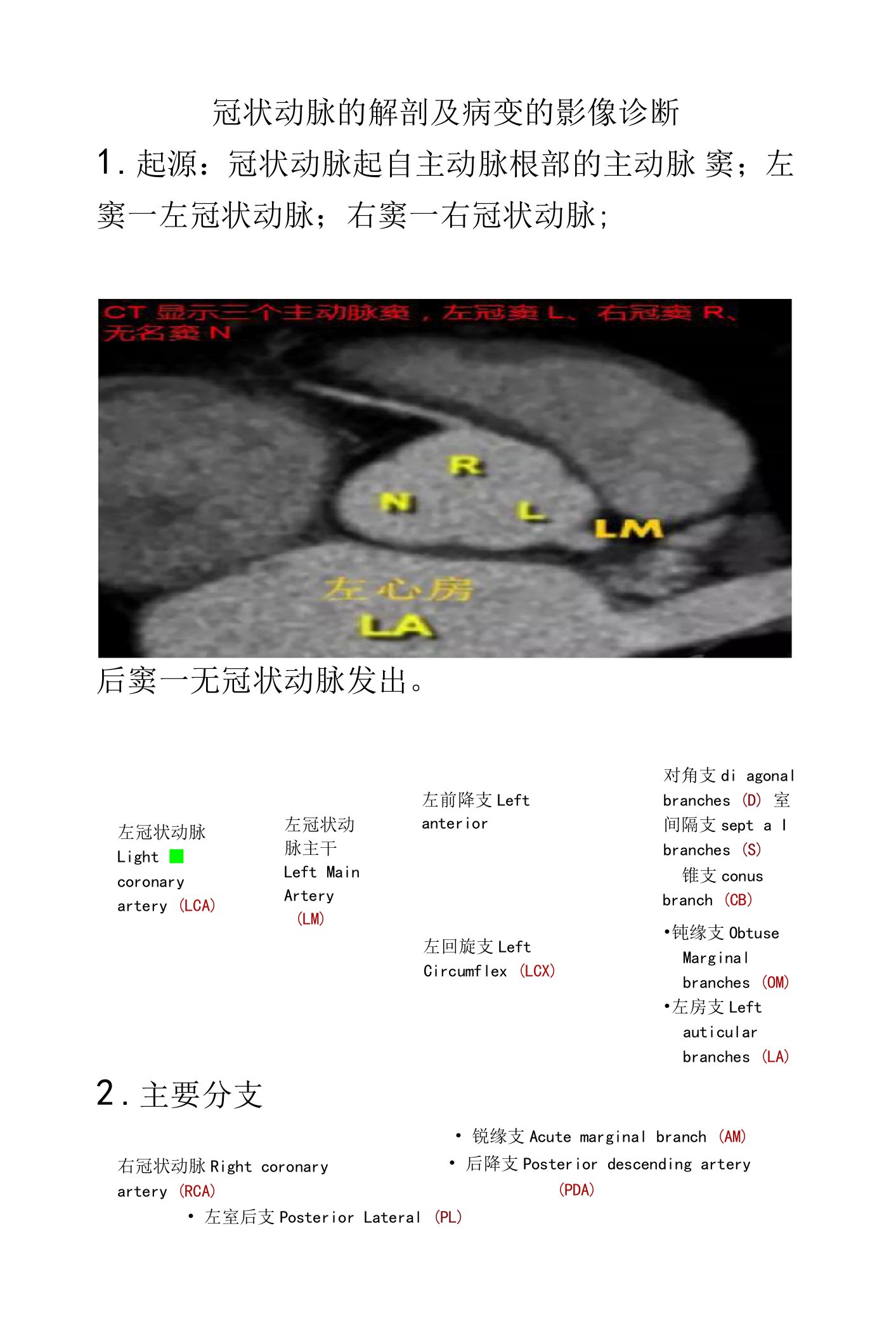 冠状动脉解剖及病变的影像学诊断