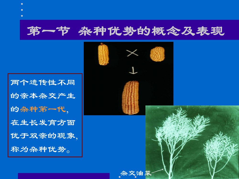 作物育种学Plantbreeding