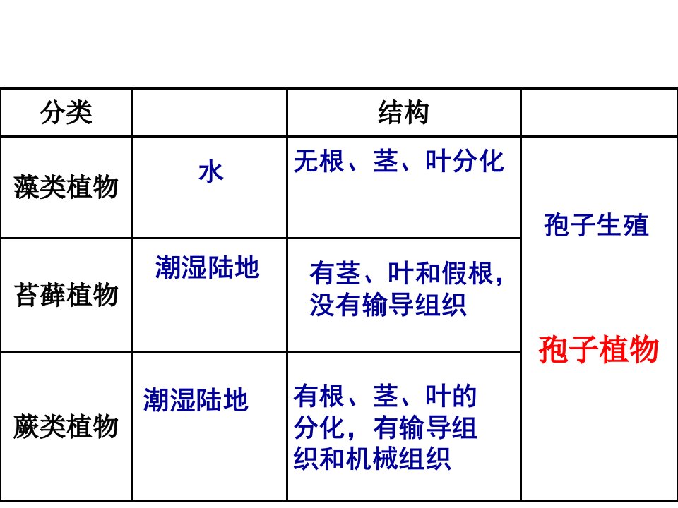 种子植物种子的结构