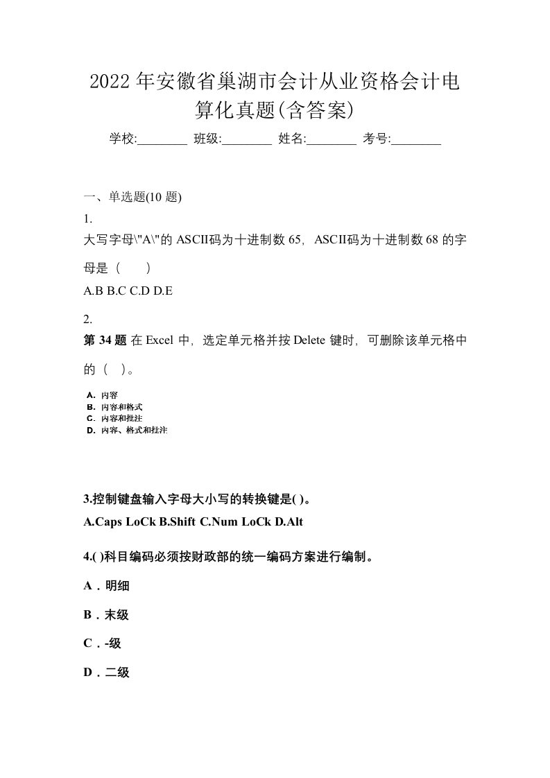 2022年安徽省巢湖市会计从业资格会计电算化真题含答案