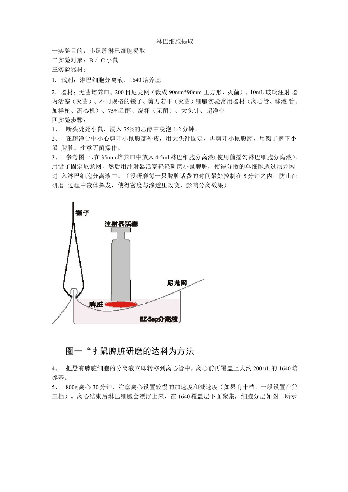 T淋巴细胞提取