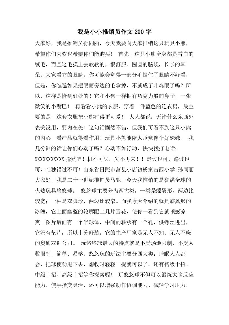 我是小小推销员作文200字