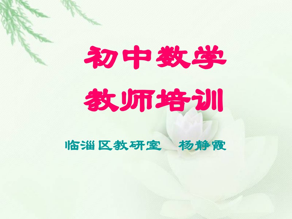 初中数学教师培训资料