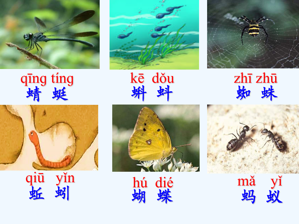 (部编)人教语文一年级下册《动物儿歌》课件