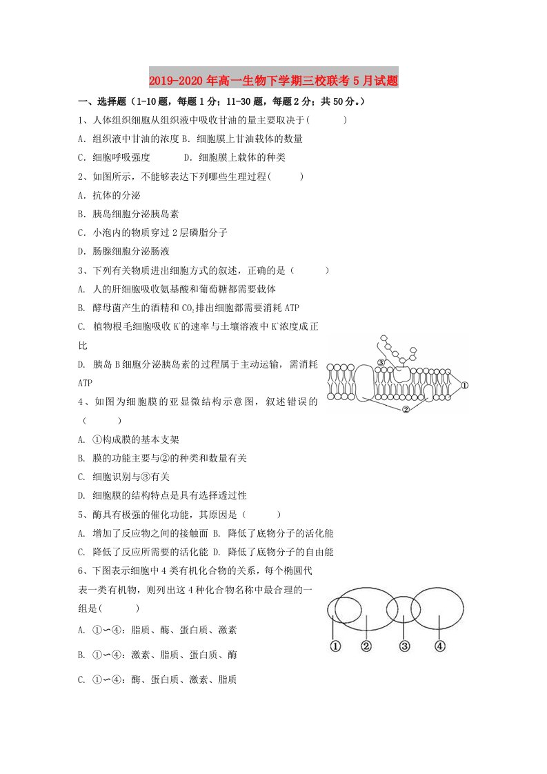 2019-2020年高一生物下学期三校联考5月试题