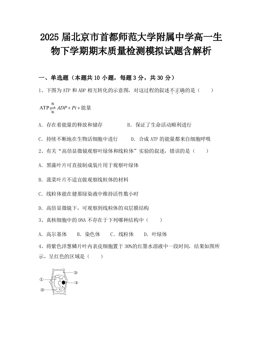 2025届北京市首都师范大学附属中学高一生物下学期期末质量检测模拟试题含解析