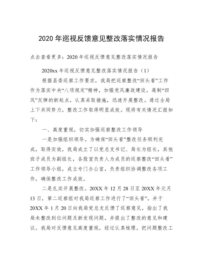 2020年巡视反馈意见整改落实情况报告