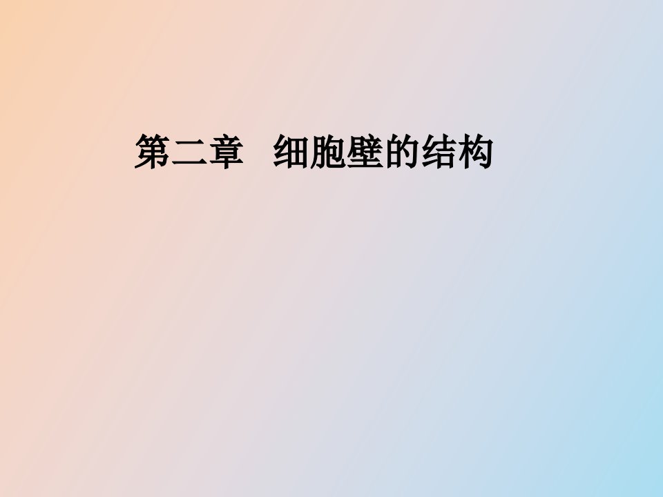 细胞壁的结构