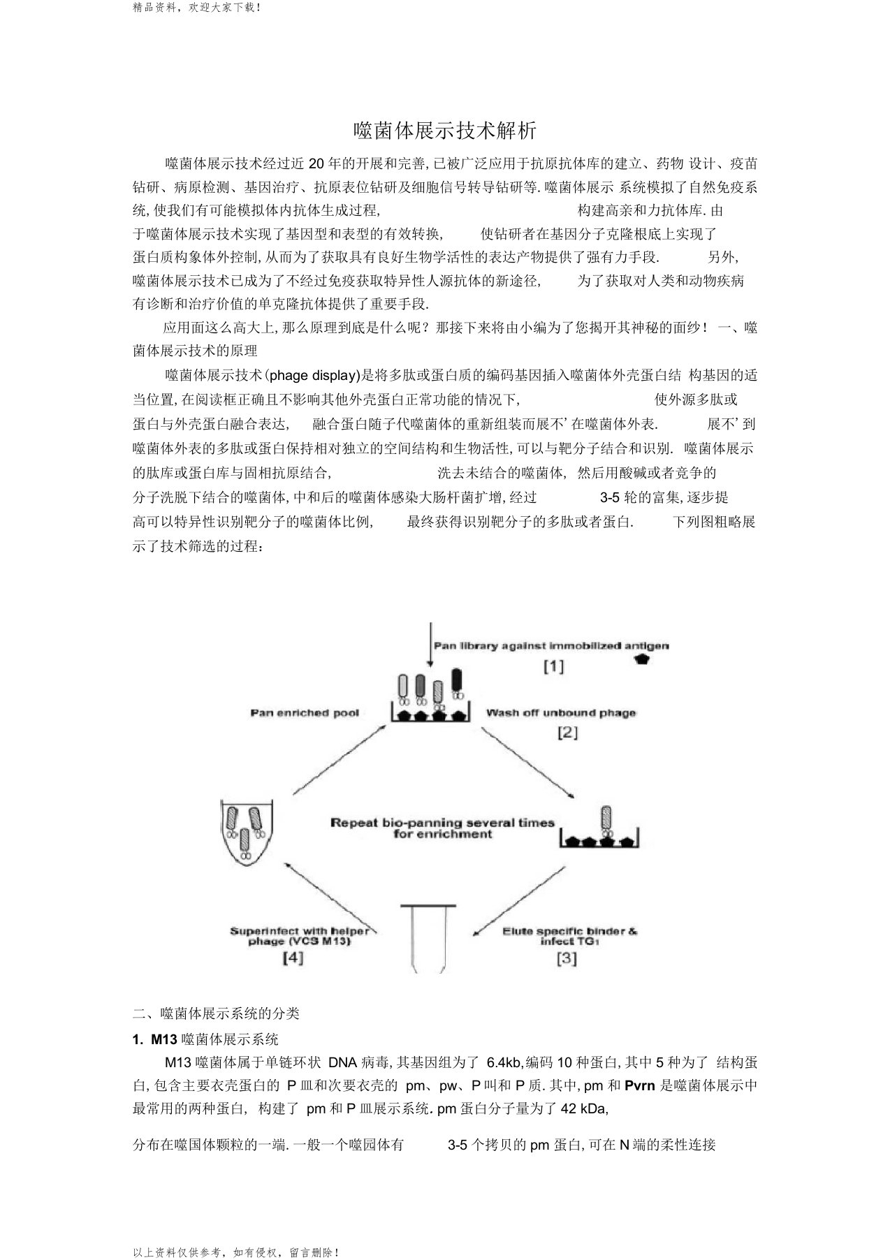 噬菌体展示技术解析