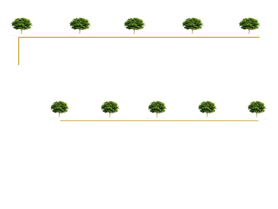 《植树问题》教学课件(新人教版小学数学五年级上册)