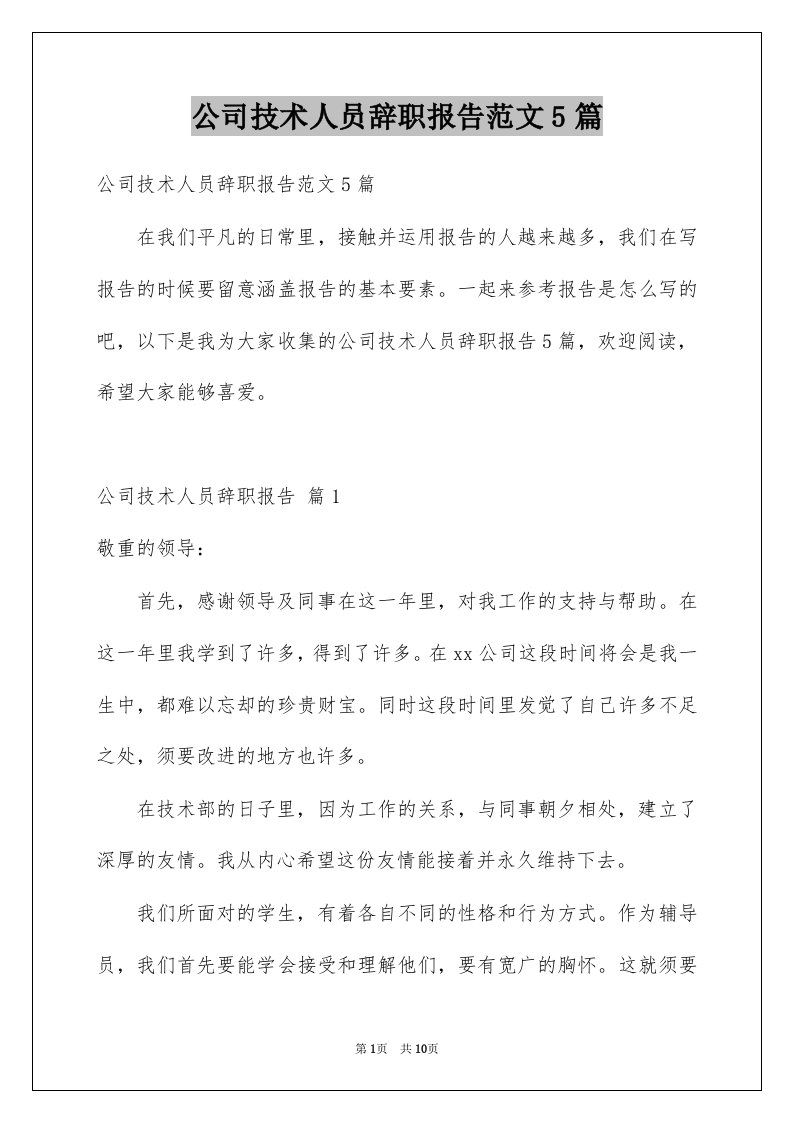 公司技术人员辞职报告范文5篇