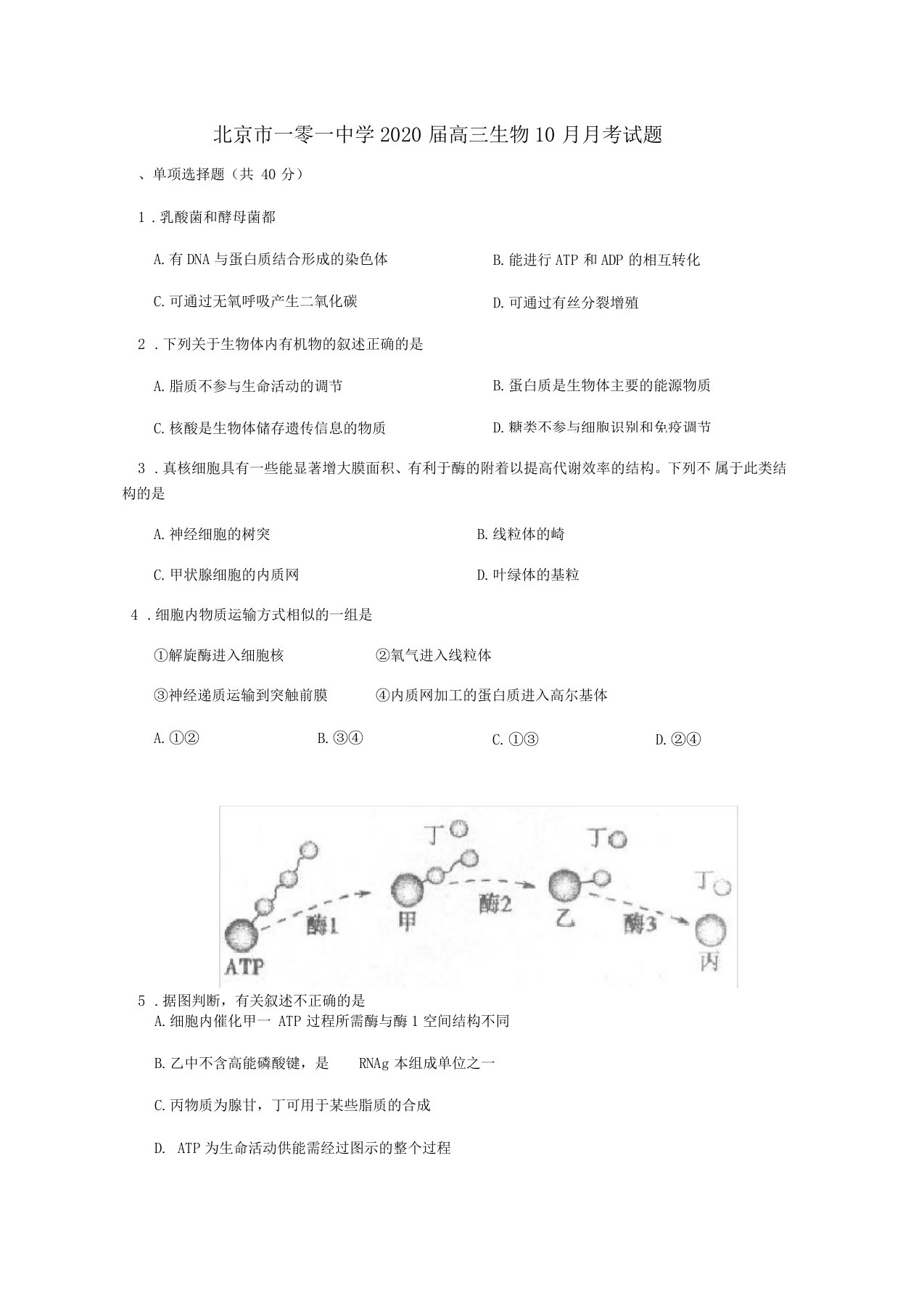 北京一零一中学2020届高三生物10月月考试题含答案