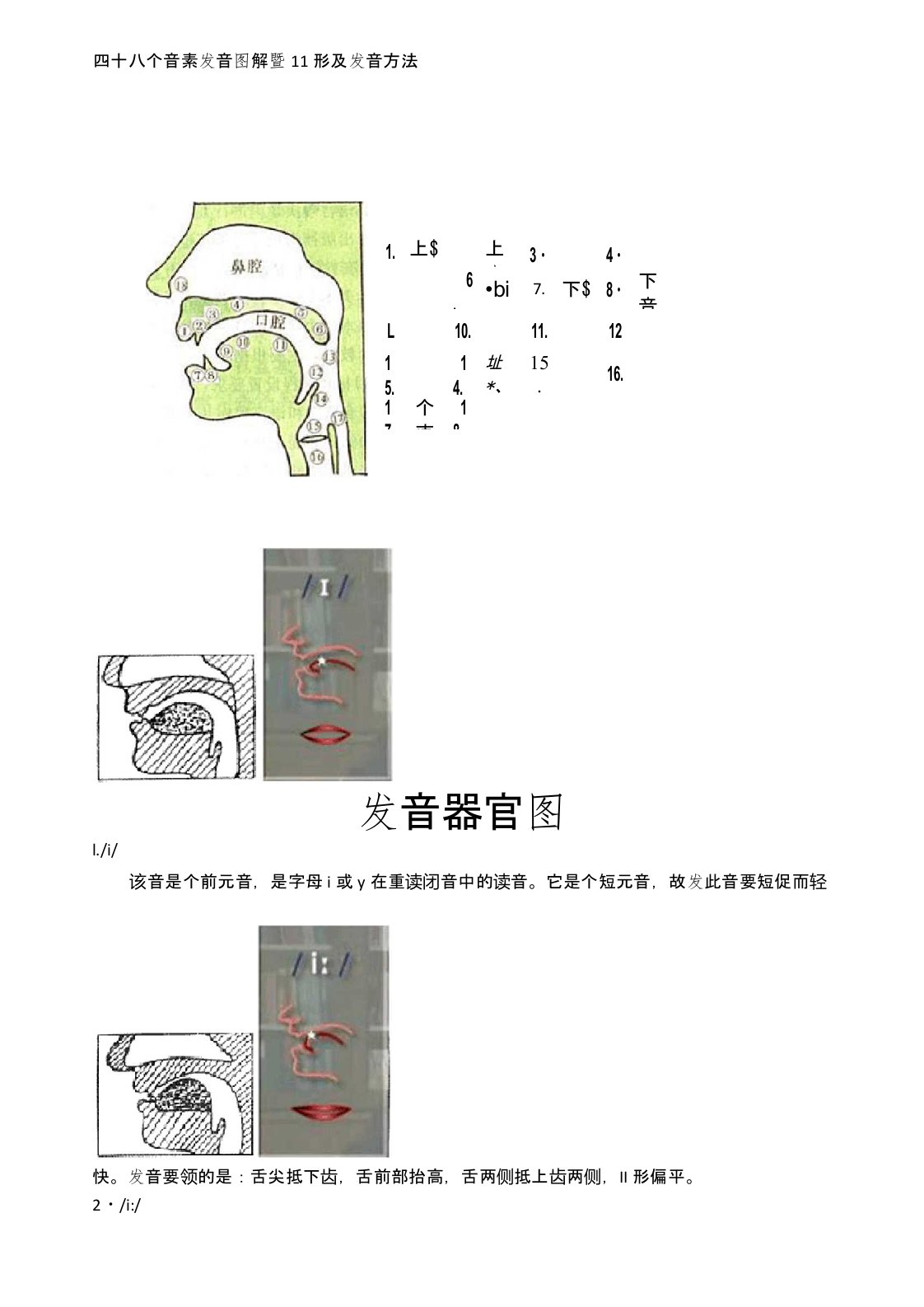 英语国际音标发音舌位图详解及发音方法大全