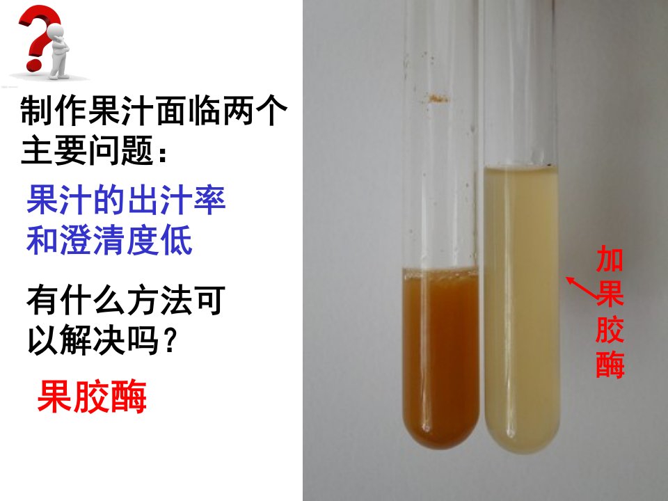 精选果胶酶在果汁生产中的应用课程