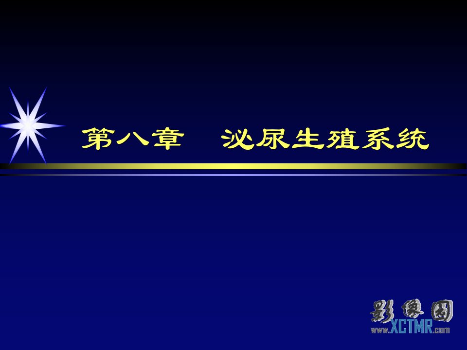 培训课件-男性生殖系统疾病影像诊断