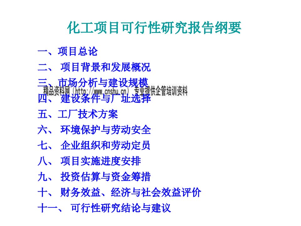 化工项目可行性研究报告