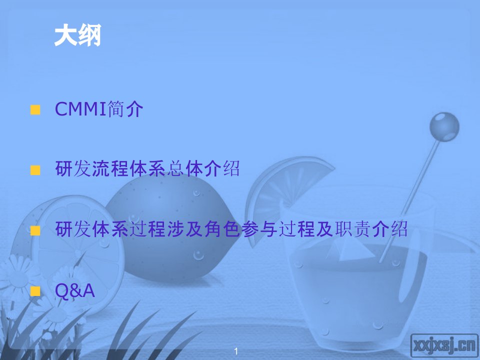 研发过程体系总体介绍CMMI