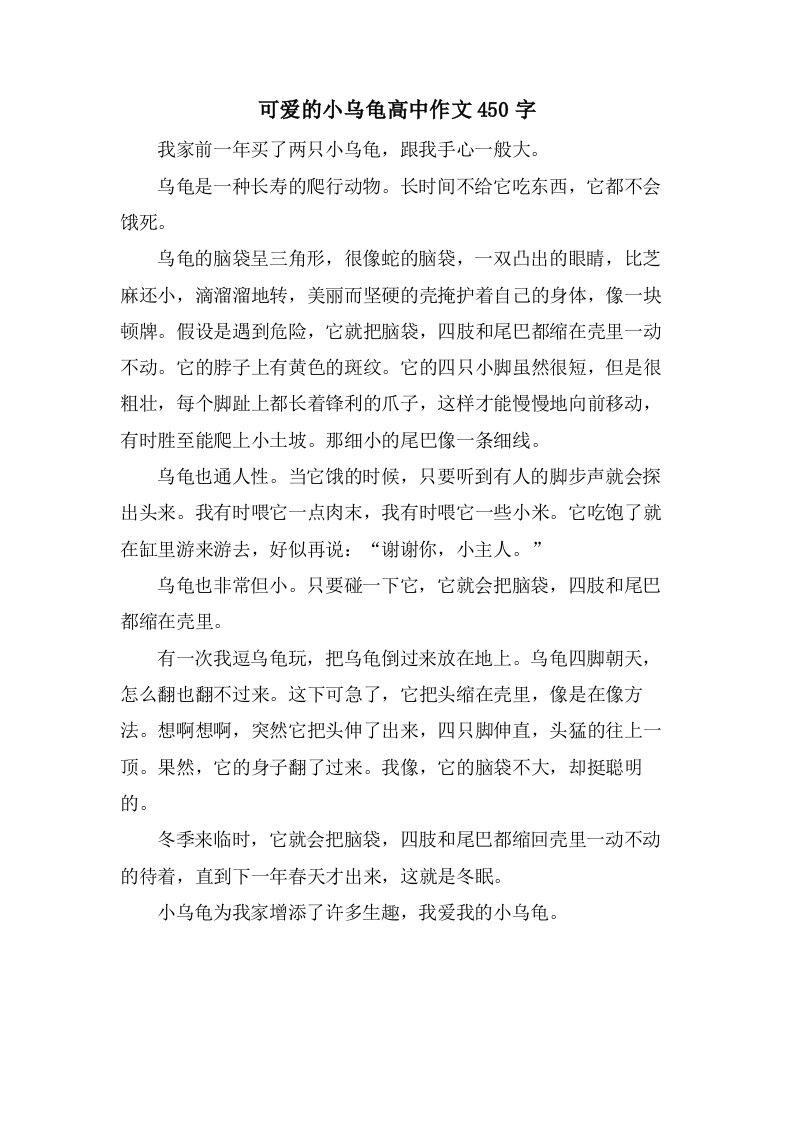 可爱的小乌龟高中作文450字