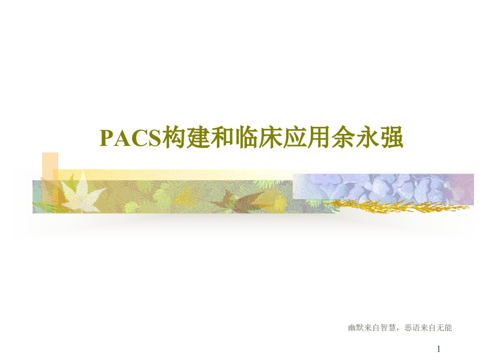 PACS构建和临床应用课件