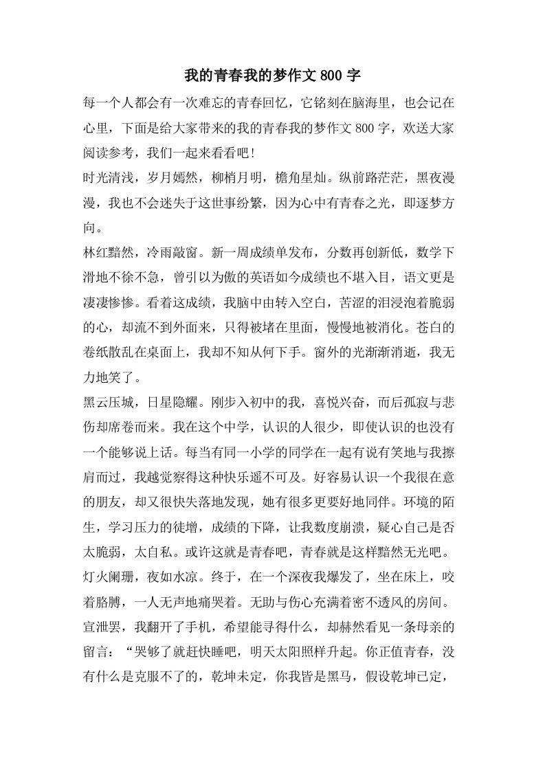 我的青春我的梦作文800字