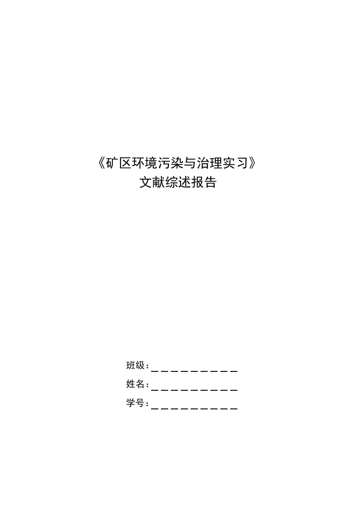 矿区环境污染与治理实习文献综述报告