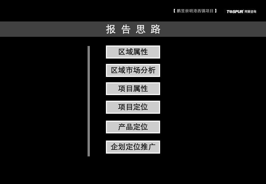 2010上海崇明港西镇项目定位策划报告