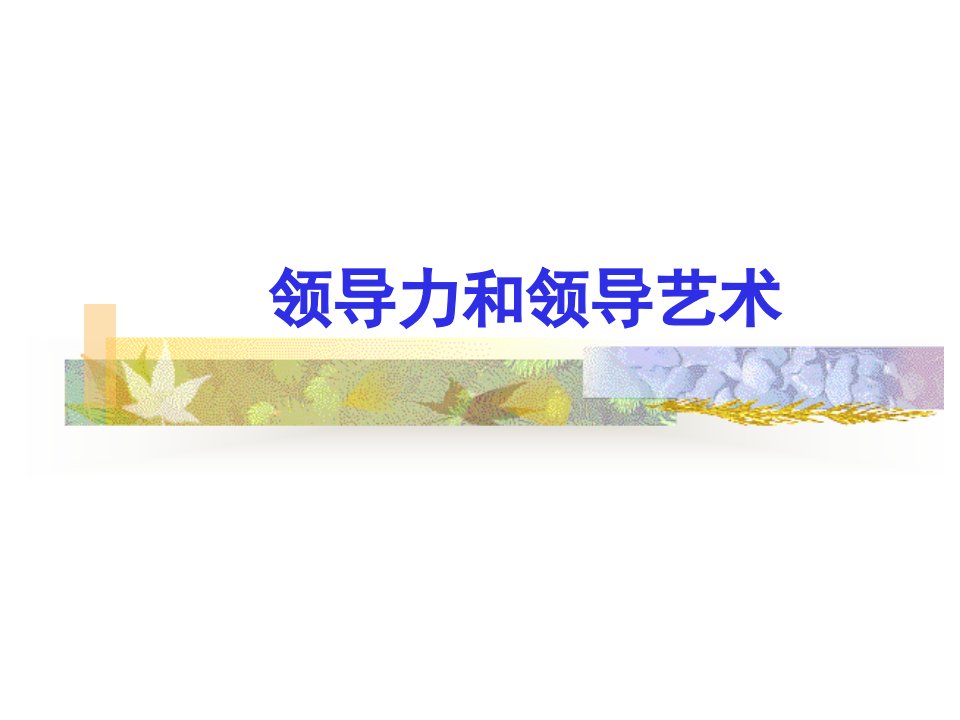 《领导力和领导艺术》PPT课件