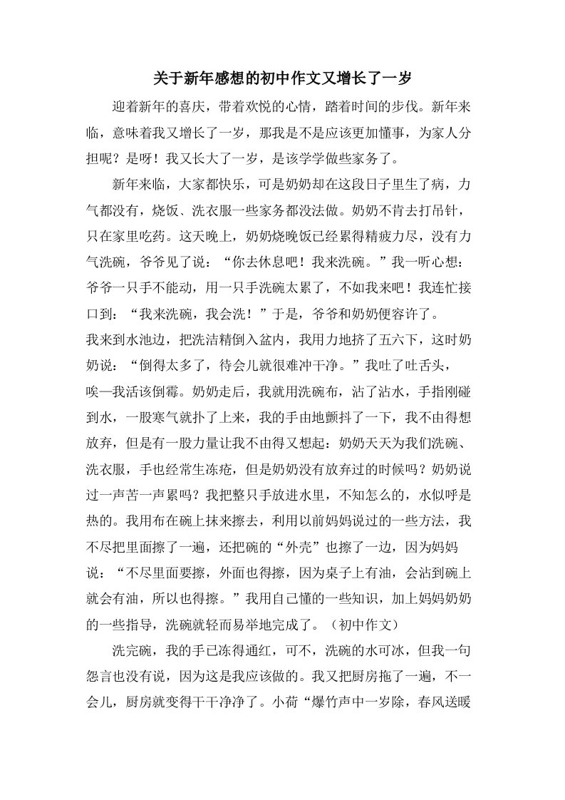 关于新年感想的初中作文又增长了一岁