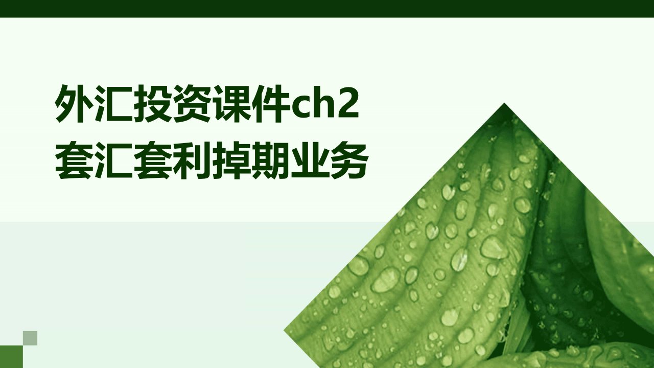 外汇投资课件ch2套汇套利掉期业务