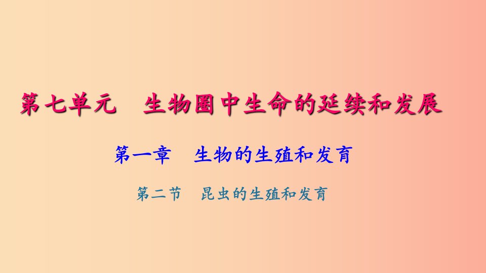 八年级生物下册第七单元第一章第二节昆虫的生殖和发育习题课件