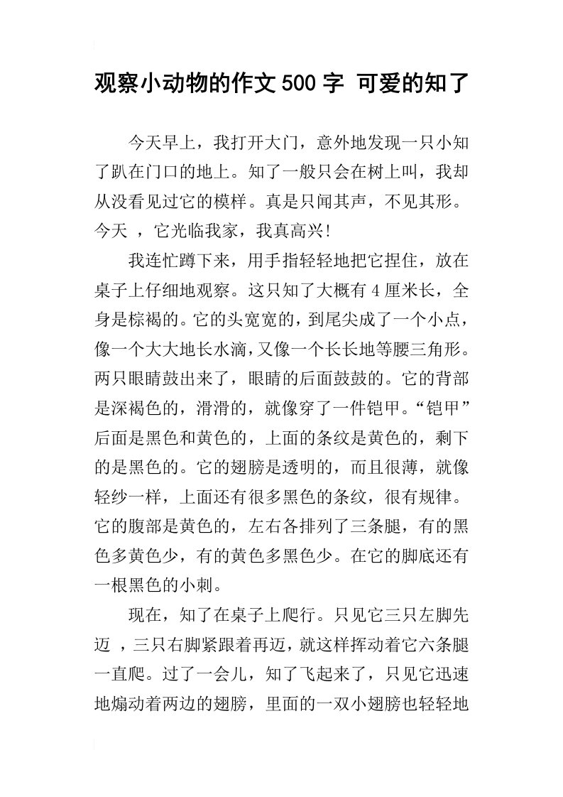 观察小动物的作文500字可爱的知了