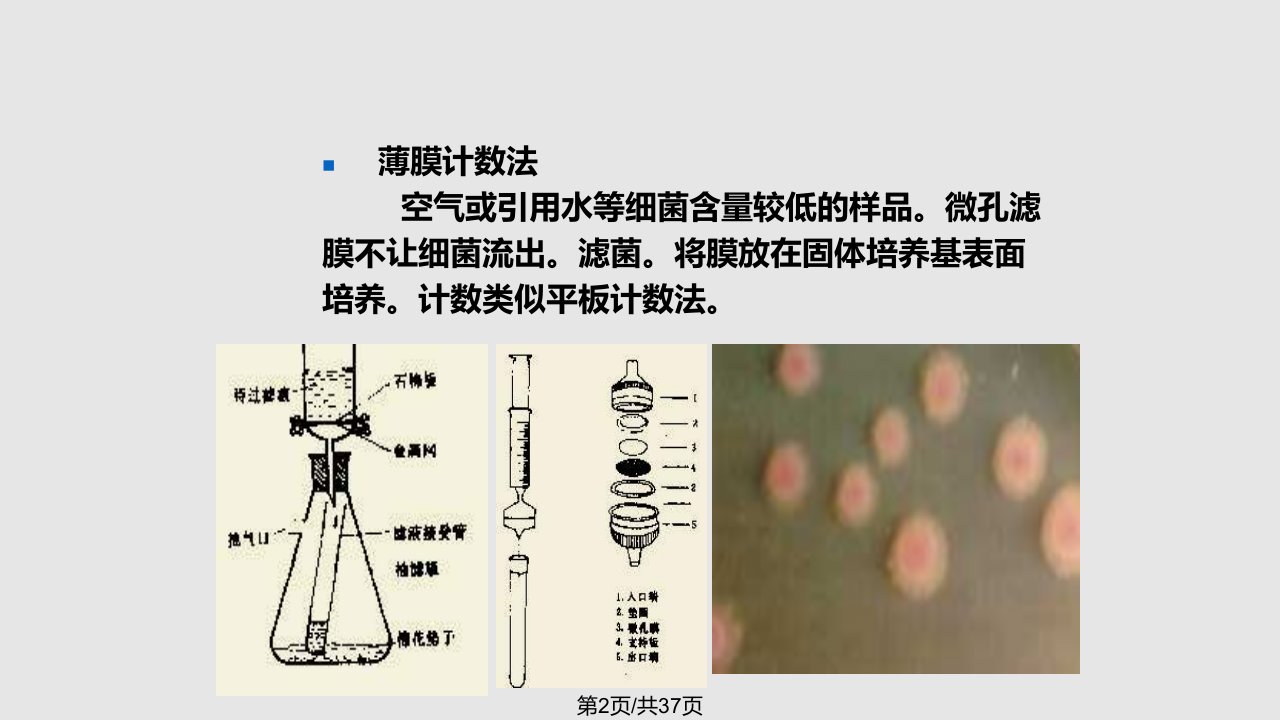 水处理生物学