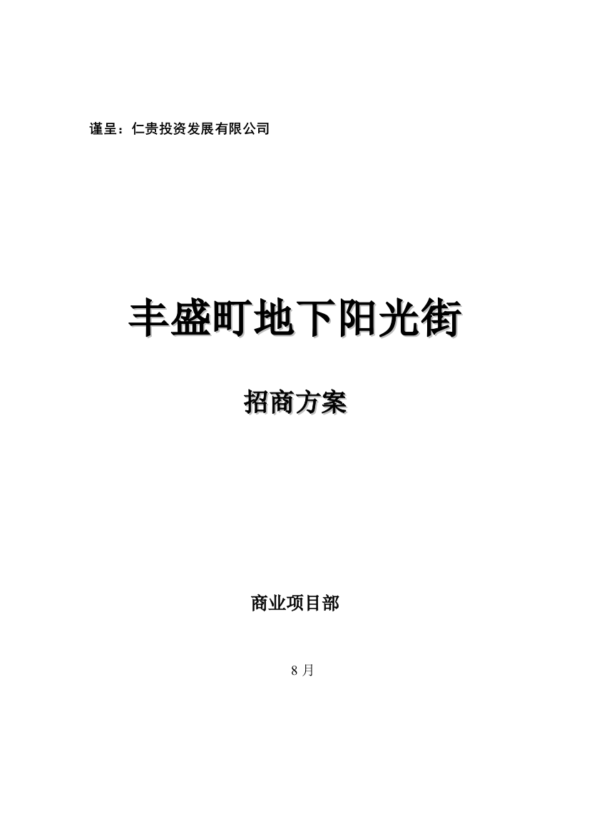 丰盛町地下阳光街招商专题方案