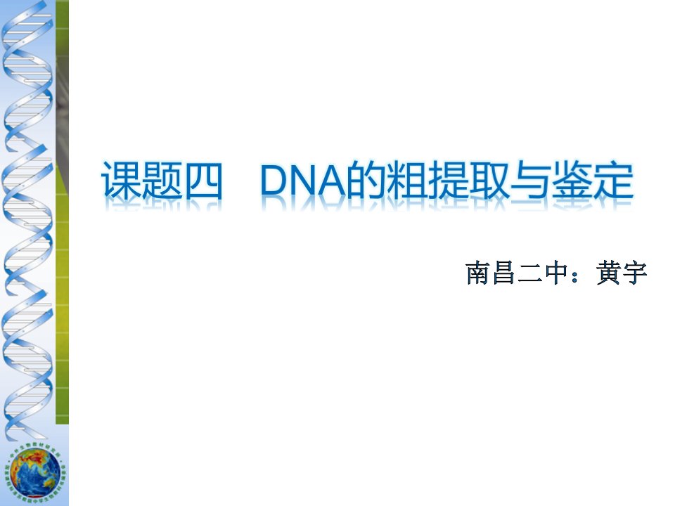 DNA粗提取ppt