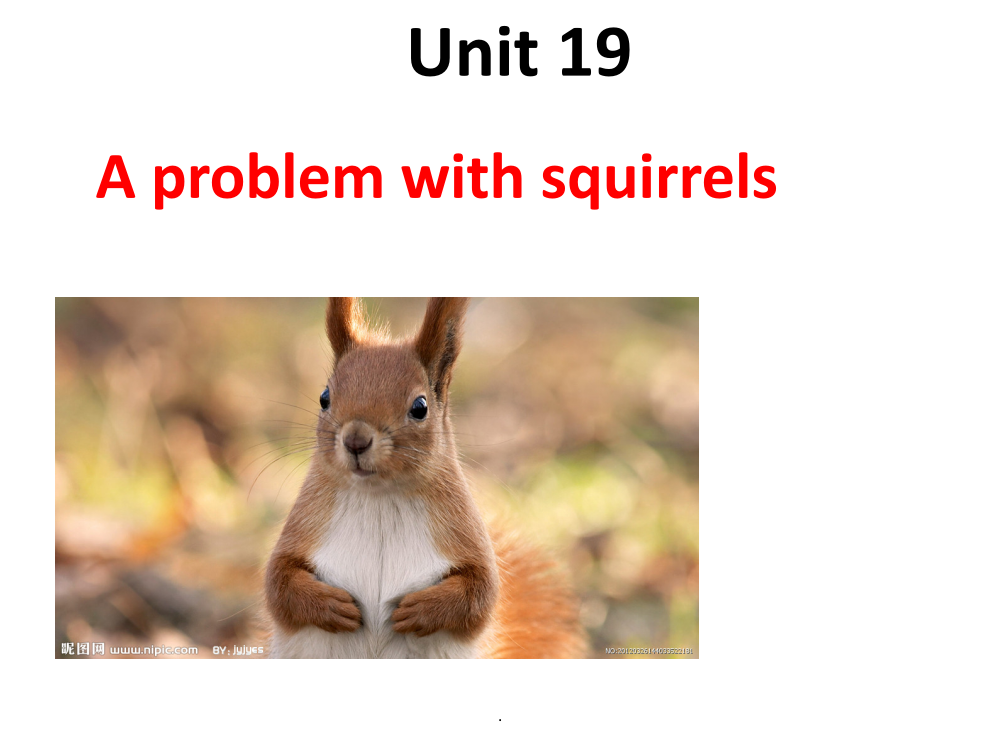 青少版新概念2B-Unit19-A-problem-with-squirrels