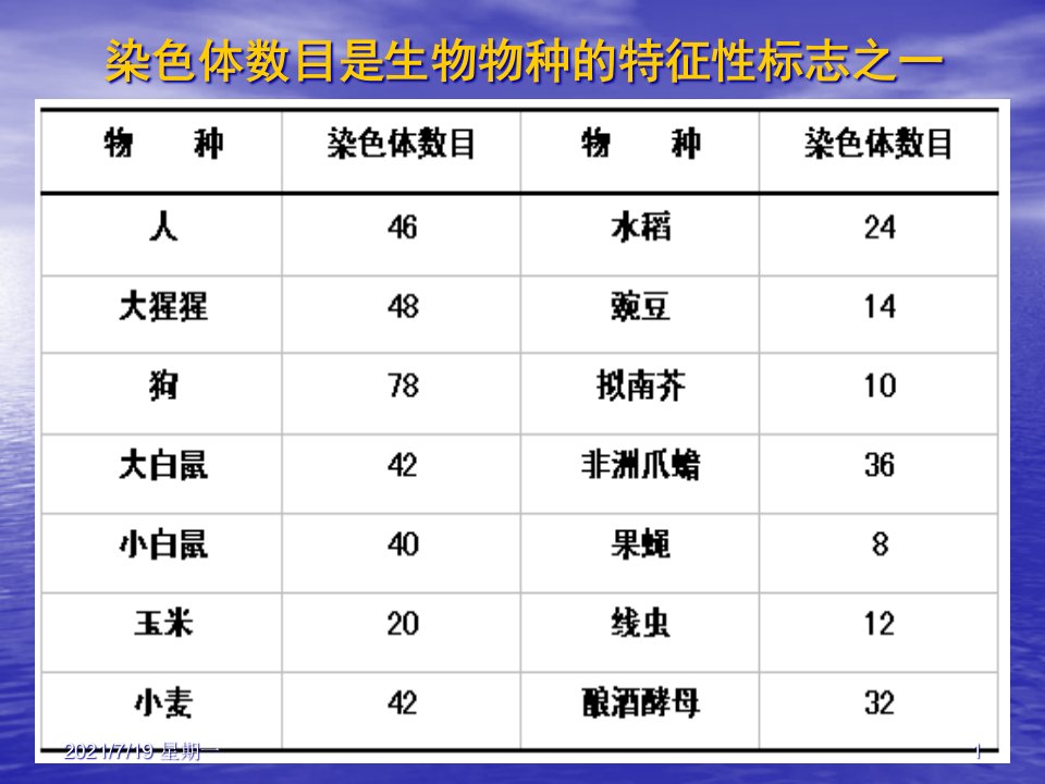 医学专题染色质与染色体