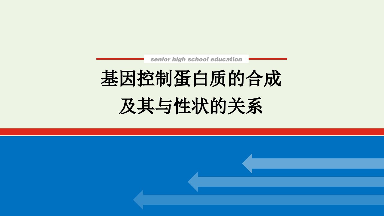 2022学年高考生物一轮复习第二单元遗传的分子基础3基因控制蛋白质的合成及其与性状的关系课件新人教版必修2